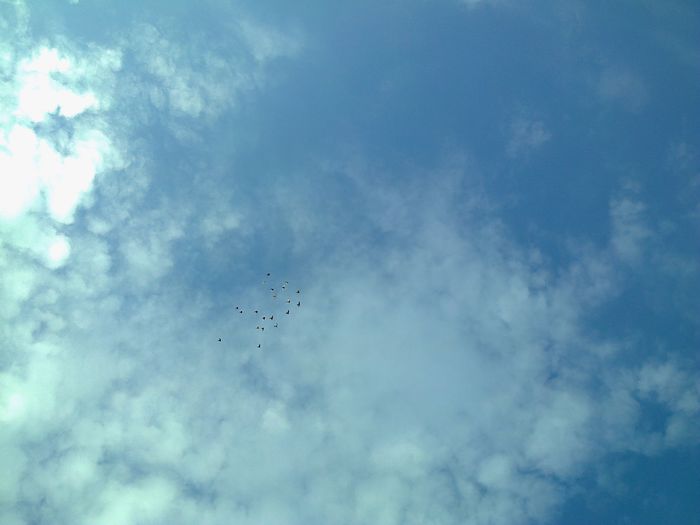 Imag 011088