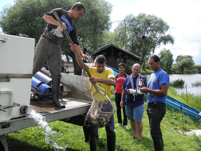 01.07.2014 - PESCUIT 2014