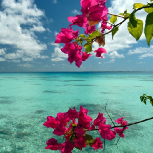 vara: 10 - Iubesc vara, este anotimpul meu  preferat.