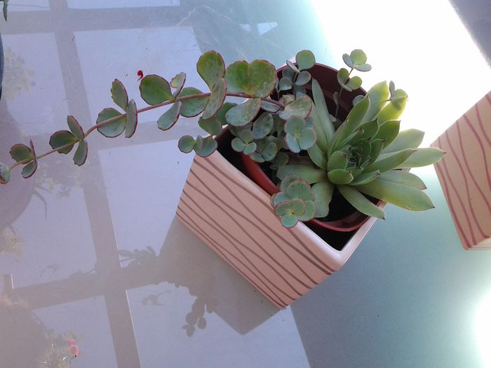 20140702_094904 - iulie 2014