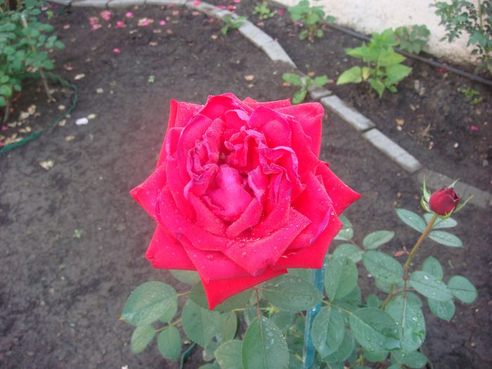 Chrysler Imperial, iunie 12, 2013