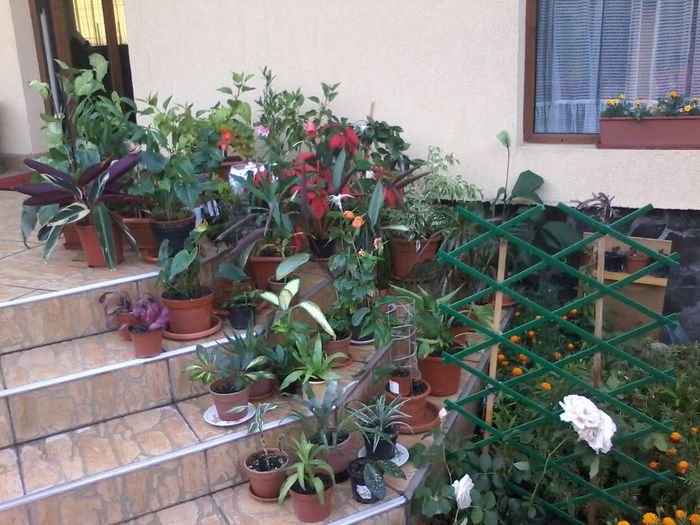 0am fost la un dus, miine dimineata ne ocopam locurile; Am fost azi la un dus.....miine ne ocupam locurile in cpltul nostru
