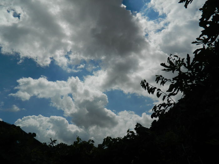 DSCN9776 - IULIE_2014