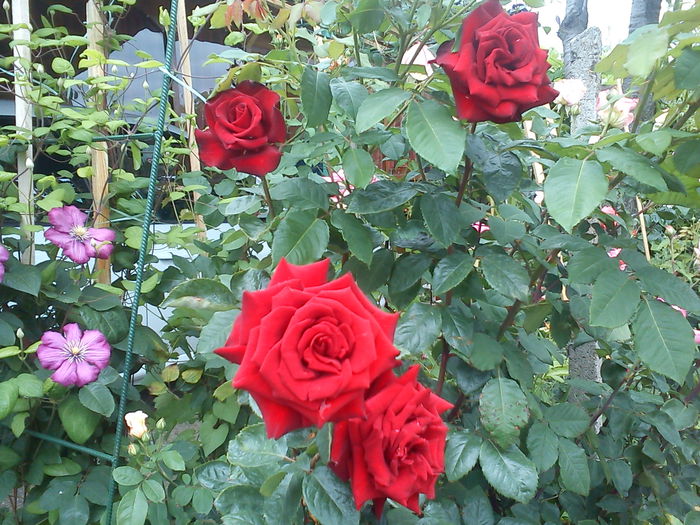 DSC08092