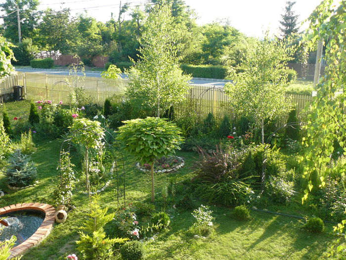 iulie 2014 - Gradina rozelor_2014