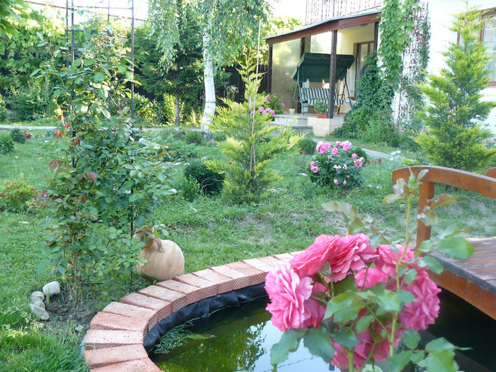 Rosarium Ueterson ( valul 2 ) - Gradina rozelor_2014