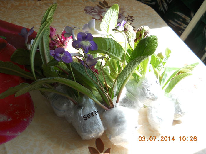 frumoase 019 - IULIE 2014