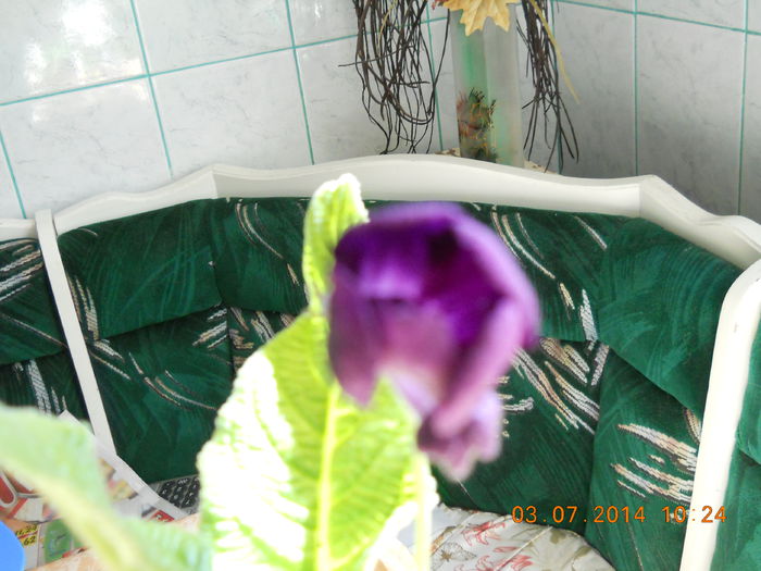 frumoase 009 - ACHIZITII 2014