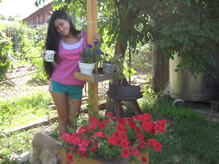 iunie 2013 - florile mele din trecut