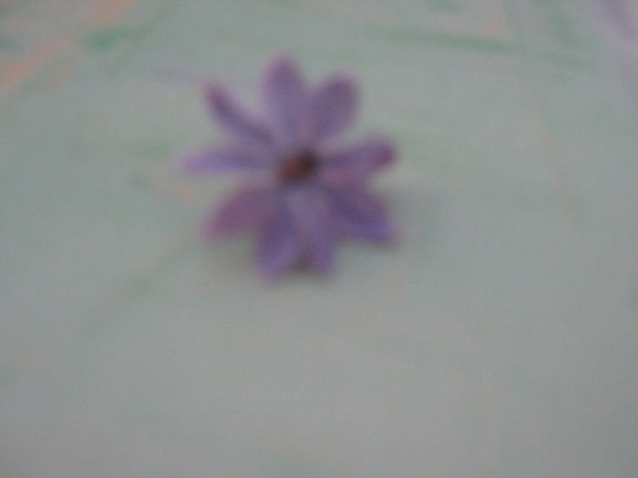 Picture 389
