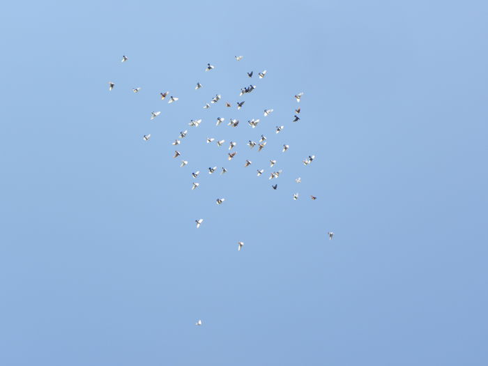 P7030051