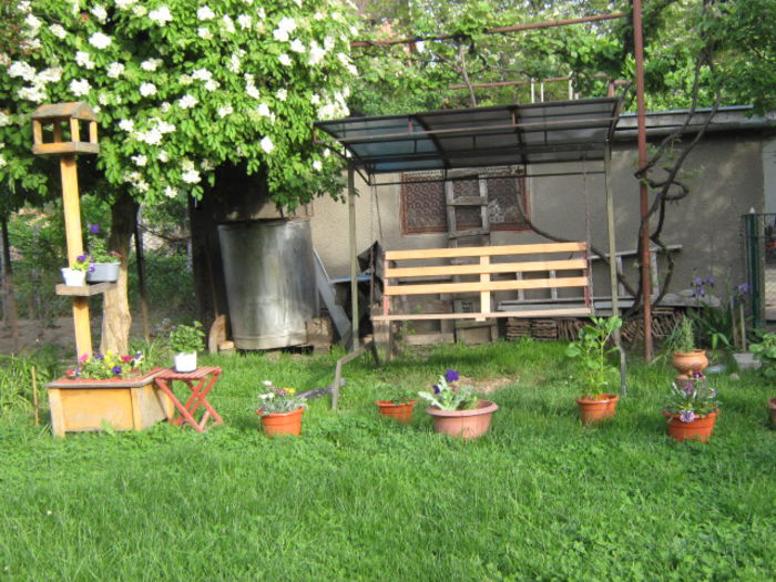 Picture 880