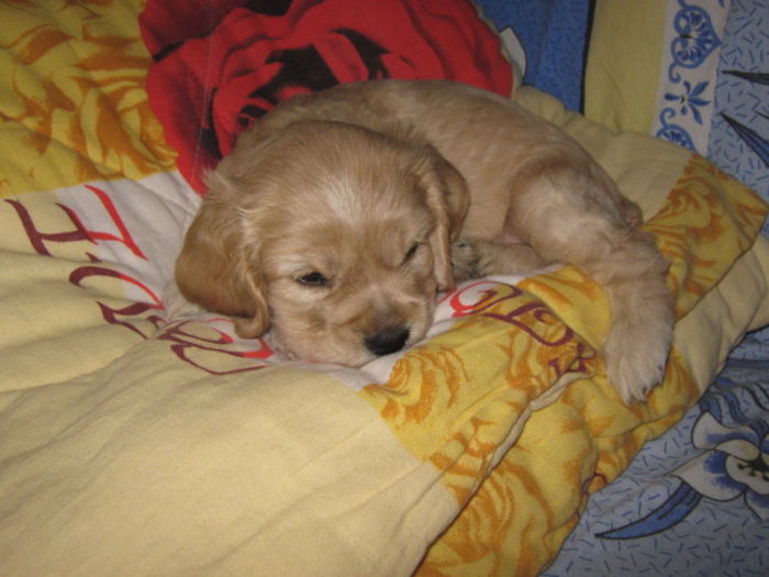 poze 11.01.2013 078