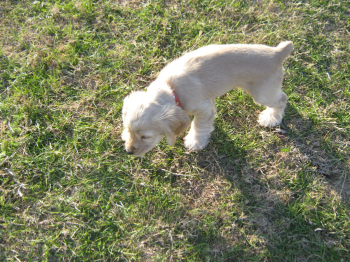 poze 11.01.2013 160