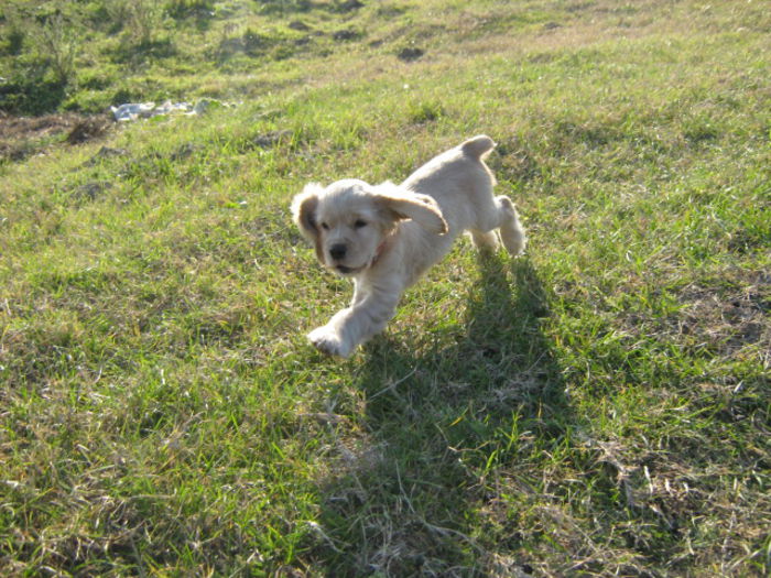 poze 11.01.2013 166