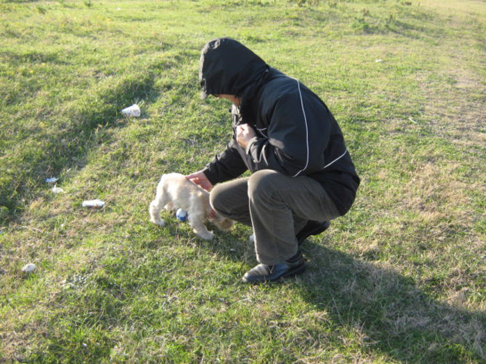 poze 11.01.2013 171