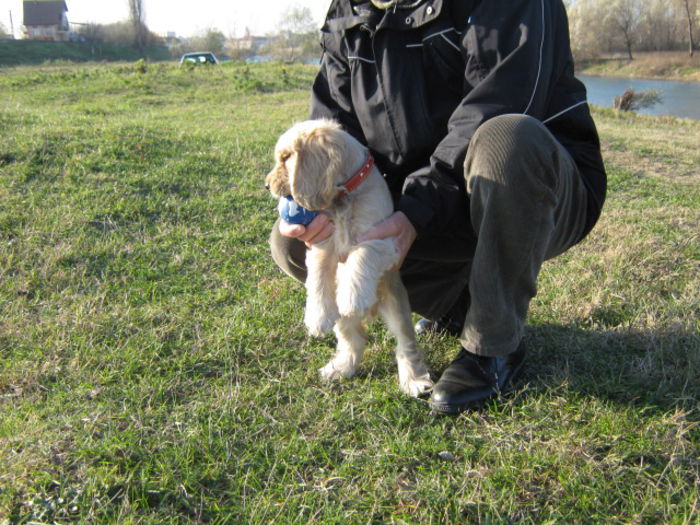 poze 11.01.2013 173