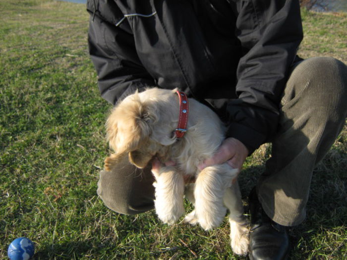 poze 11.01.2013 174