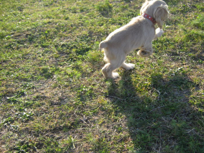poze 11.01.2013 176