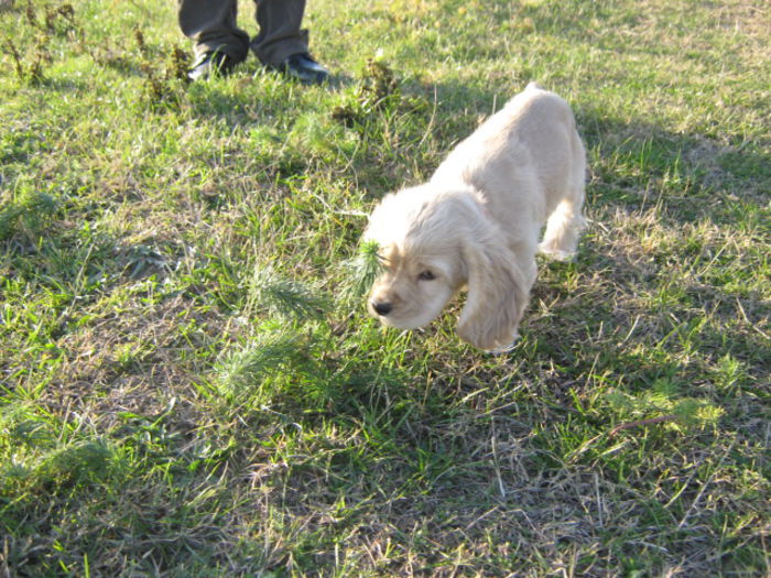 poze 11.01.2013 178