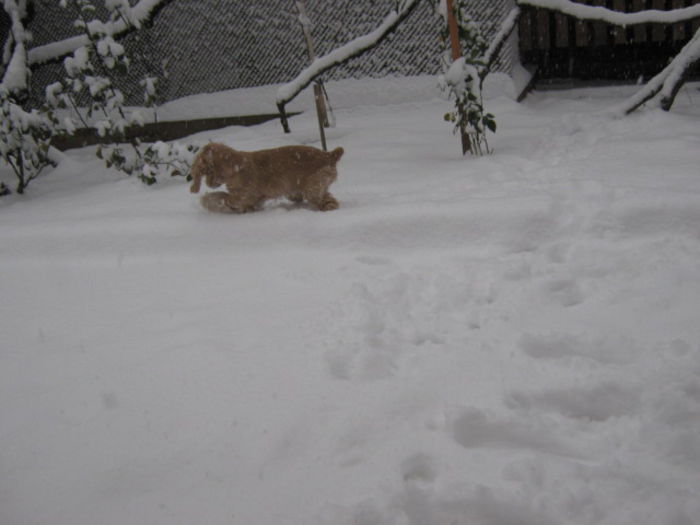 poze 11.01.2013 253