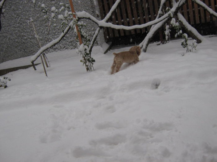 poze 11.01.2013 254