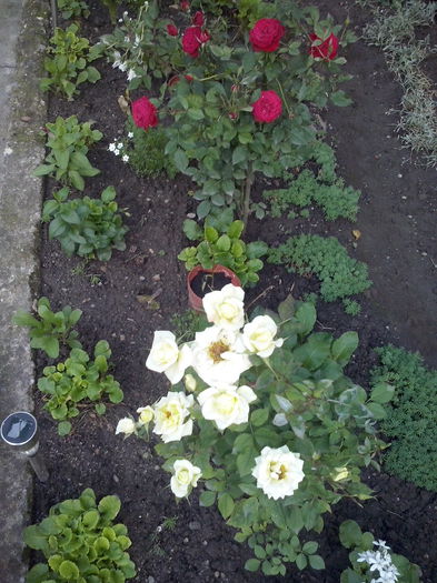 CAM02237 - 2014 FLORI EXTERIOR