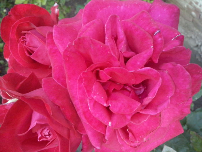 CAM02238 - 2014 FLORI EXTERIOR