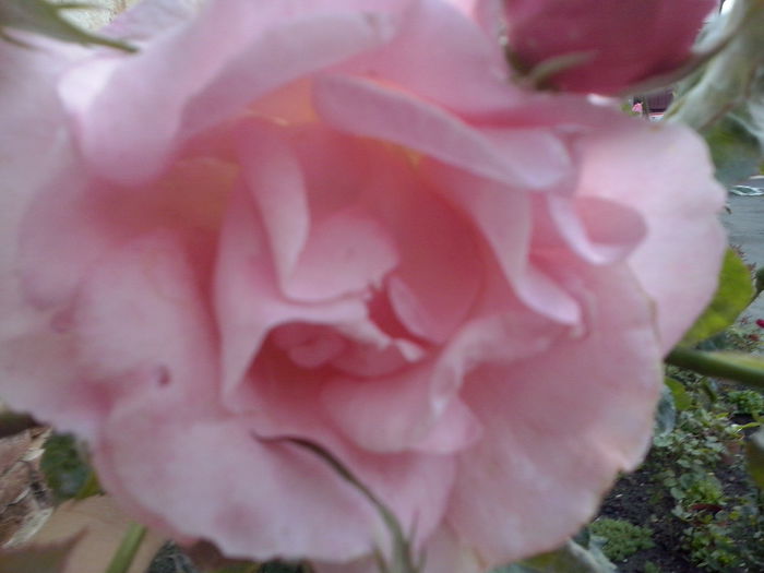 CAM02240 - 2014 FLORI EXTERIOR