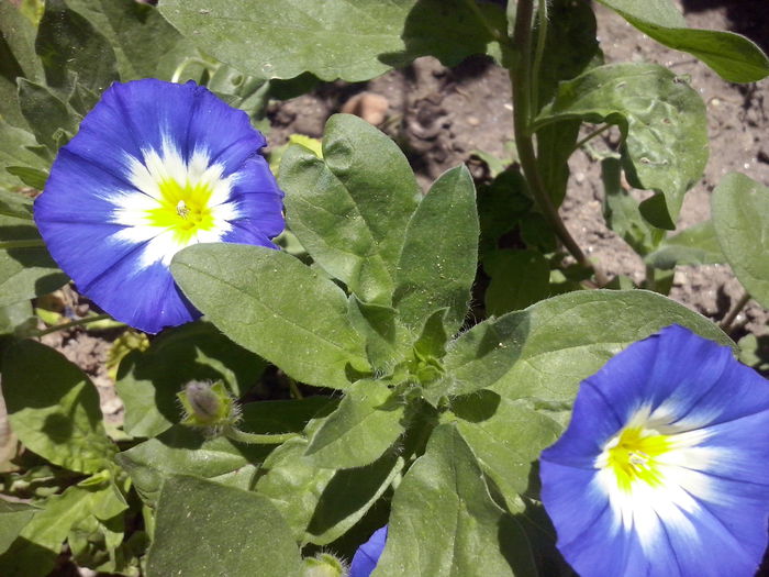 CAM02309 - 2014 FLORI EXTERIOR