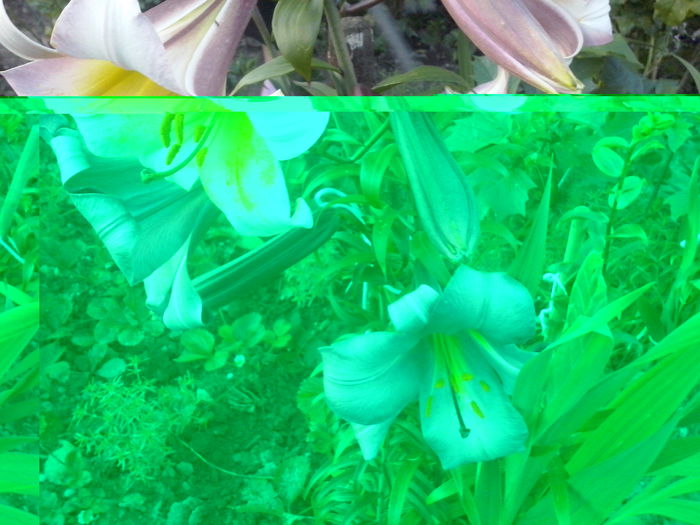 CAM02346 - 2014 FLORI EXTERIOR