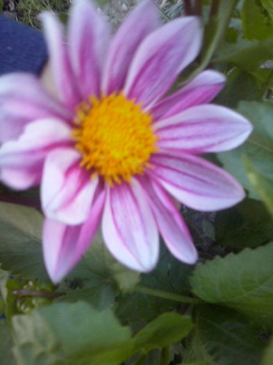 CAM02368 - 2014 FLORI EXTERIOR