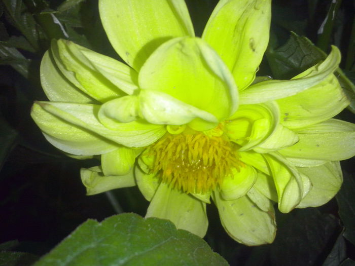 CAM02373 - 2014 FLORI EXTERIOR