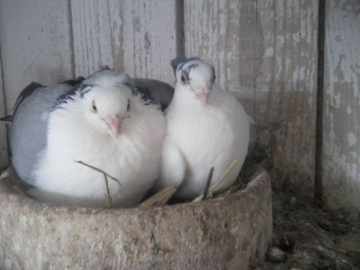 Clocesc Impreuna F-M - F- Poze Primavara 2014