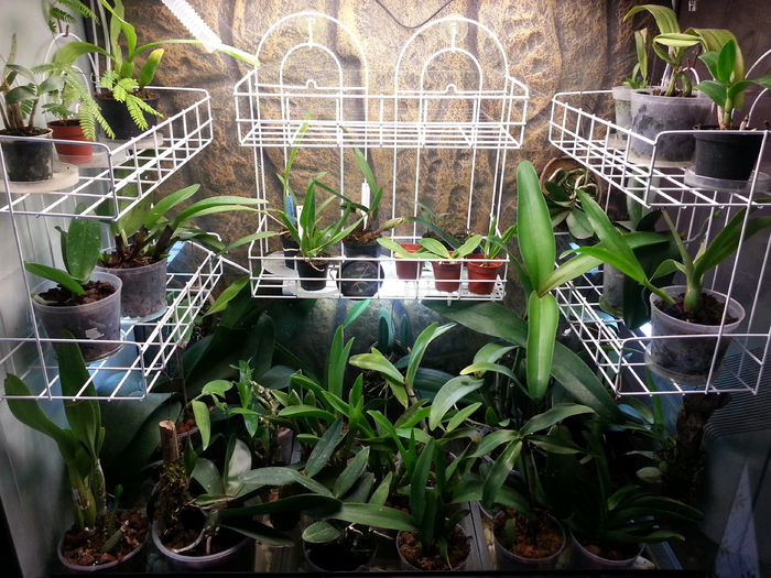 20140703_134556; Gramada
