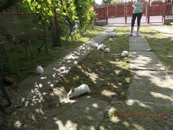 Picture 332