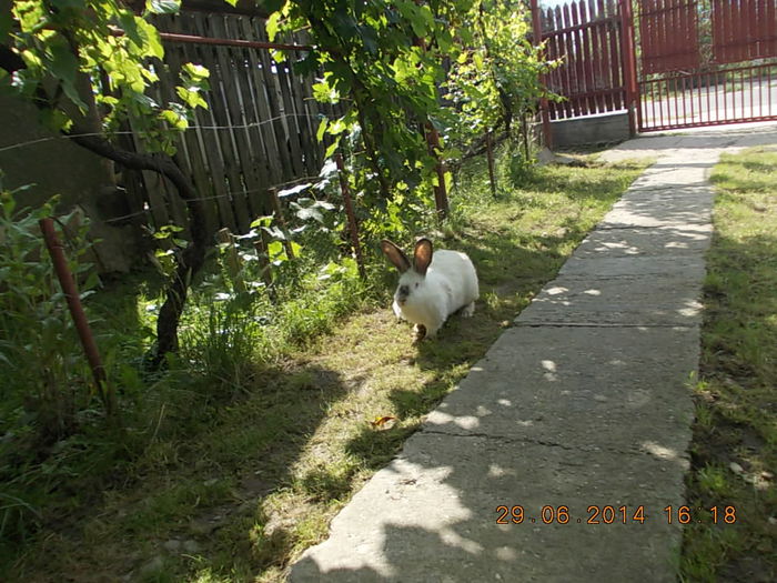 Picture 304