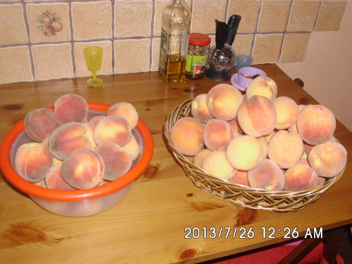 Picture 063 - Productie fructe