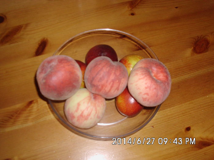 IMG_0654 - Pomi fructiferi altoiri