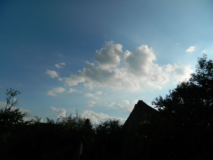 DSCN9784 - IULIE_2014