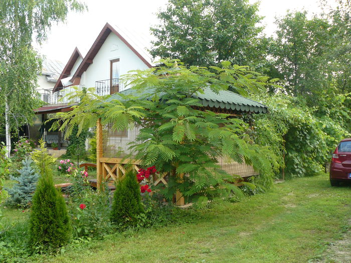 4 iulie 2014 - Gradina rozelor_2014