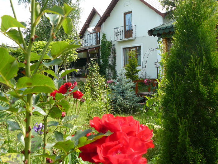 P1160579 - Gradina rozelor_2014