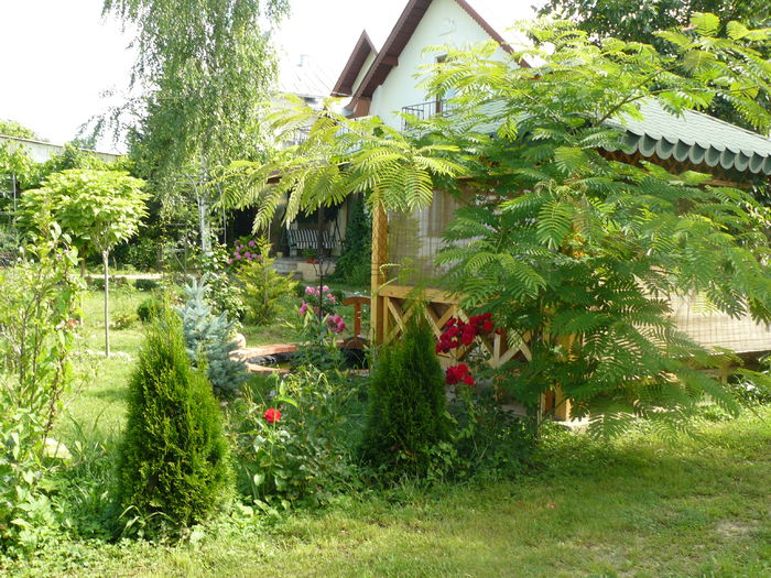 P1160580 - Gradina rozelor_2014