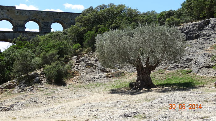 2014_07020241 - Pont du Grad