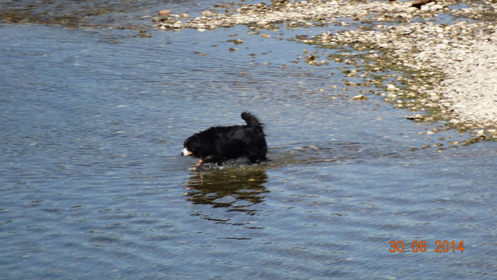 2014_07020261 - Pont du Grad