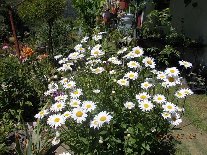 DSCN9777 - 2014