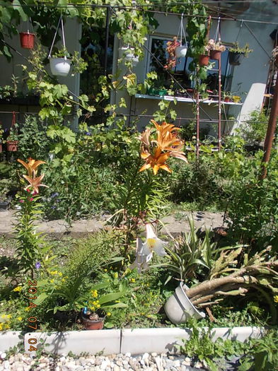 DSCN9775 - 2014