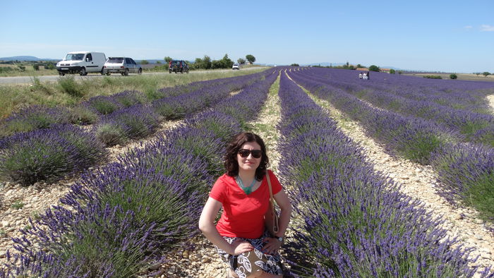 2014_07020289 - Valensole