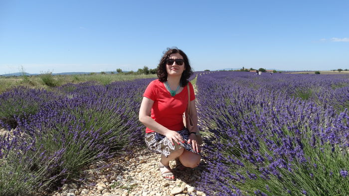 2014_07020290 - Valensole