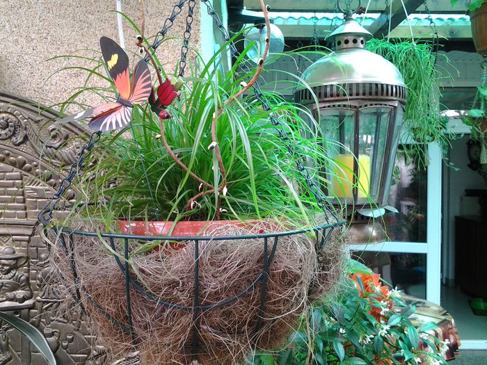 20140704_153903 - iulie 2014